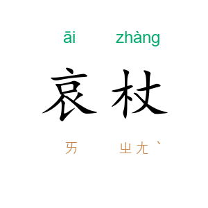 哀杖