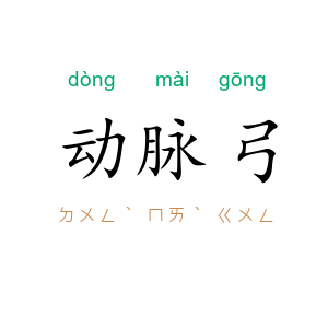 动脉弓