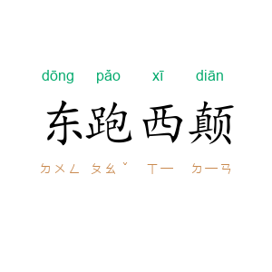 东跑西颠