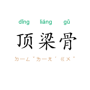 顶梁骨