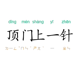 顶门上一针