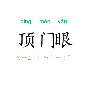 顶门眼