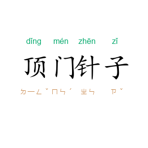 顶门针子