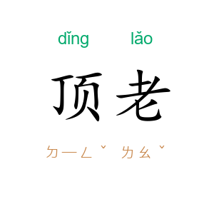 顶老