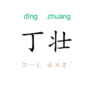 丁壮