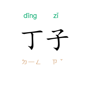 丁子