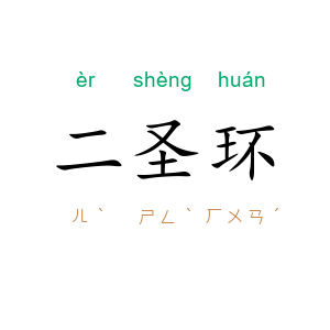 二圣环