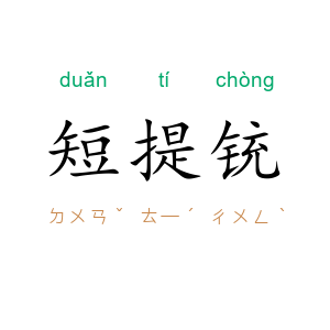 短提铳