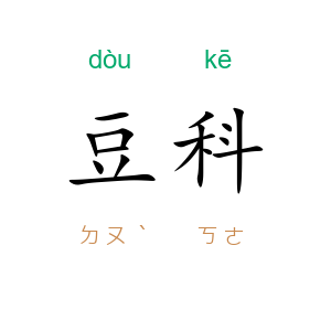 豆科