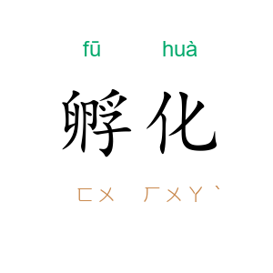 孵化