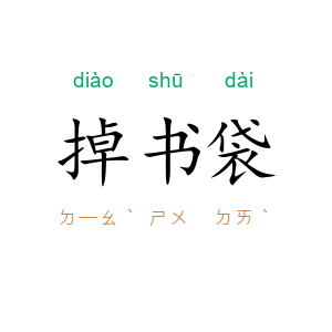 掉书袋