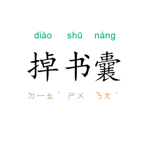 掉书囊