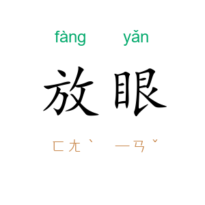 放眼