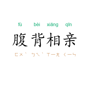 腹背相亲