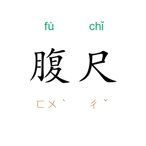 腹尺