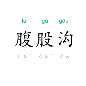 腹股沟