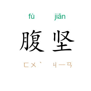 腹坚