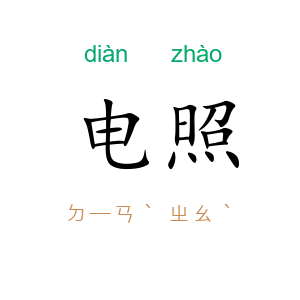 电照