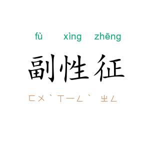 副性征