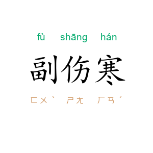 副伤寒