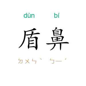 盾鼻