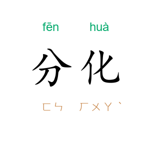 分化