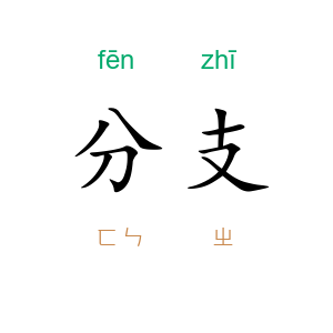 分支