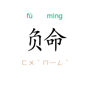 负命