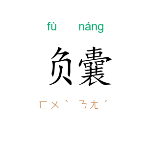 负囊