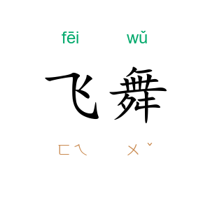 飞舞
