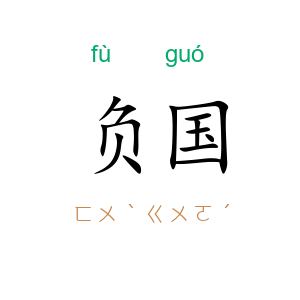负国