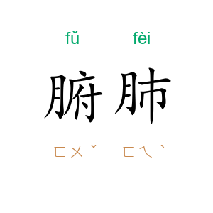 腑肺