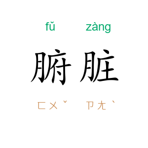 腑脏