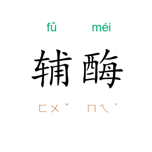 辅酶