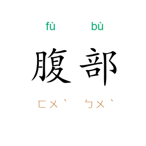 腹部