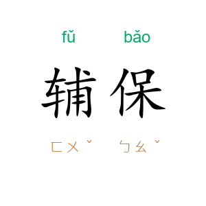 辅保