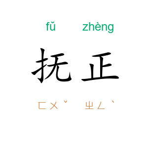 抚正