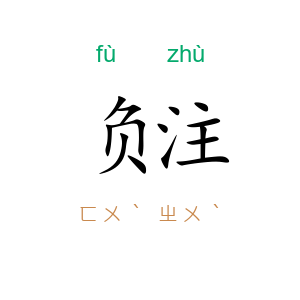 负注