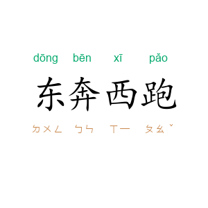 东奔西跑
