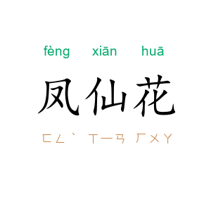 凤仙花