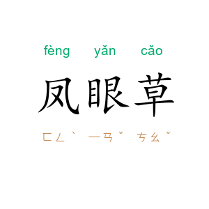 凤眼草