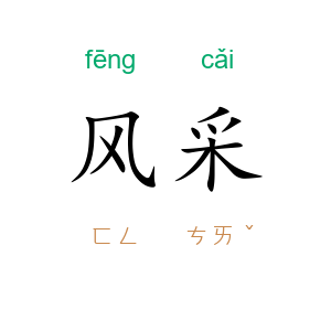 风采