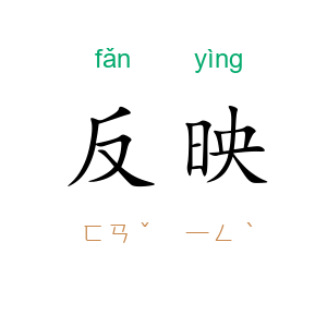反映