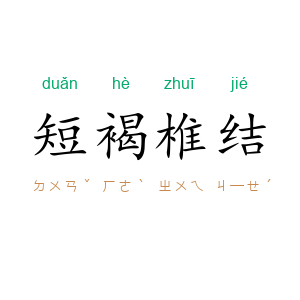 短褐椎结