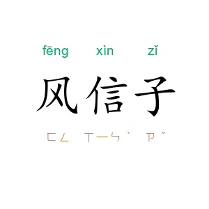 风信子