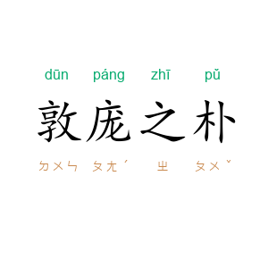 敦庞之朴