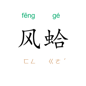 风蛤