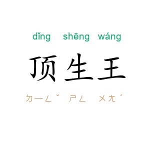 顶生王