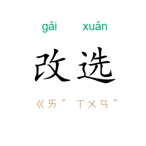 改选