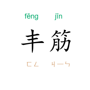 丰筋